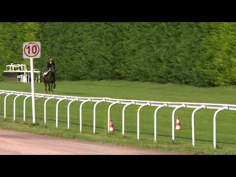 Breeze-Up Osarus 2020 - Lot 73