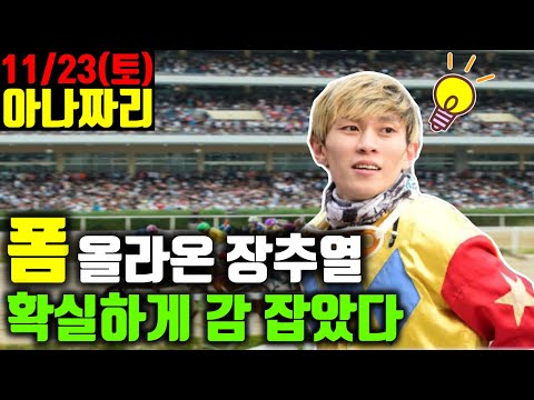 11/23 토요경마-윤텍- 아나짜리 사줄놈&지울놈 명확한 분석으로