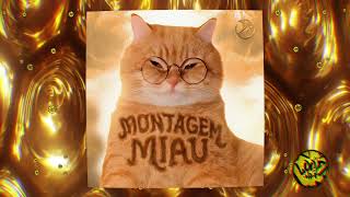 MONTAGEM MIAU (SPED UP)