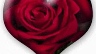 Elvs Presley-When the snow is on the Roses.wmv