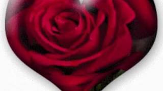 Elvs Presley-When the snow is on the Roses.wmv