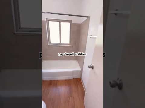 2381s - Video 2 of 2