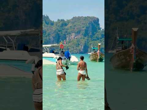 🇹🇭Maya Bay Dream Beach Thailand Summer Holiday 81⛱️ #mayabeach #mayabay