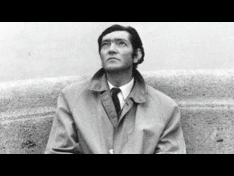 Me caigo y me levanto - Julio Cortázar