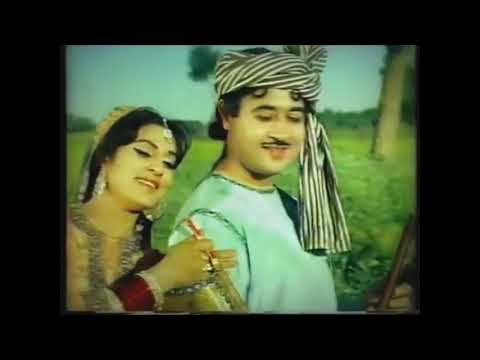 "Wanjli walarya" by Faisal Latif