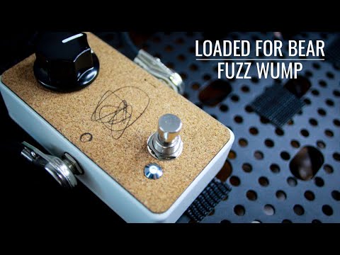Immagine Loaded for bear one knob fuzz - 4