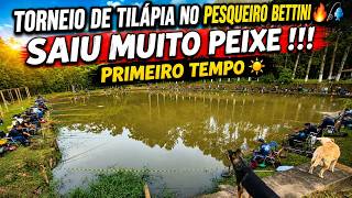 TORNEIO DE TILAPIA NO PESQUEIRO BETTINI PRIMEIRO TEMPO !