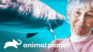 Thumbnail del capítulo