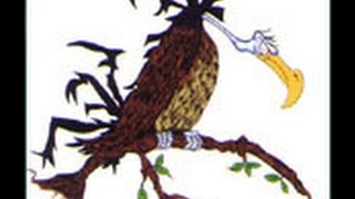 Steve Luongo Drum Solo John Entwistle Band