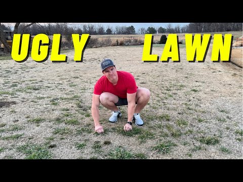 Fix That UGLY Lawn!