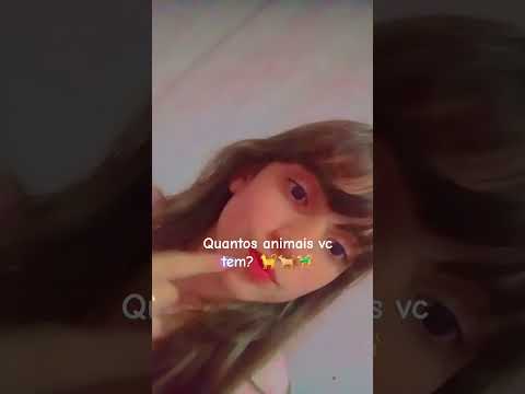 28 de dezembro de 2025