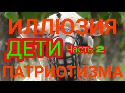 _Свободный Путешественник_ИЛЛЮЗИЯ ПАТРИОТИЗМА_ Часть 2