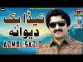 Ajmal Sajid اجمل ساجد نیو سرائیکی دُکھی سونگ Teda Hik Deewana Album 11 Ne