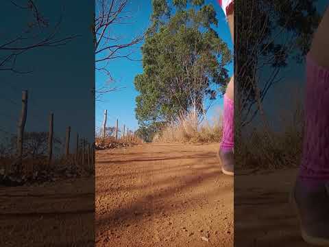 Caminhada sertaneja Comunidade Santa Rita município Vianópolis Goiás Brasil