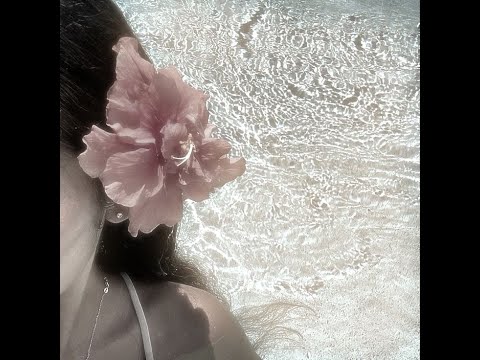 NHẠC HAY LÀ LỖI CỦA ANH VOL. 2 - ZANG REMIX