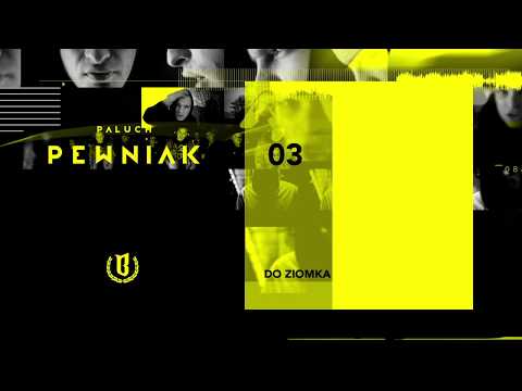 Paluch - "Do Ziomka" (OFFICIAL AUDIO 2009)