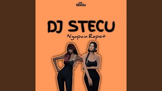 Download lagu DJ Stecu X Ngapain Repot mp3
