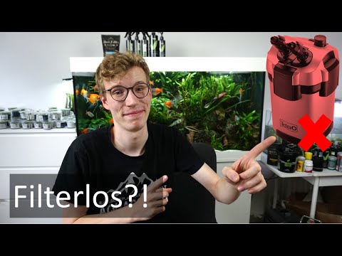 Filterless aquariums, diffusion filters (light), biofilms in aquariums