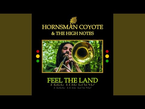 Dub the Land (feat. Jah Rej) (Dub)