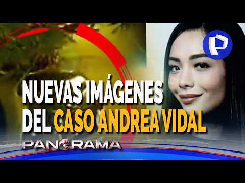 New images in the Andrea Vidal case: videos confirm surveillance to assassinate her