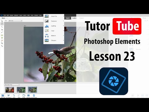 Photoshop Elements Tutorial Lesson 23 Guided Vignette Effect