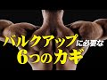 【バルクアップ】身体を大きくしたくない方は見ないでください【ビーレジェンド プロテイン】