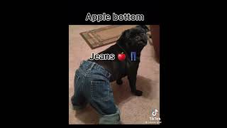 Download lagu apple bottom jeans... mp3