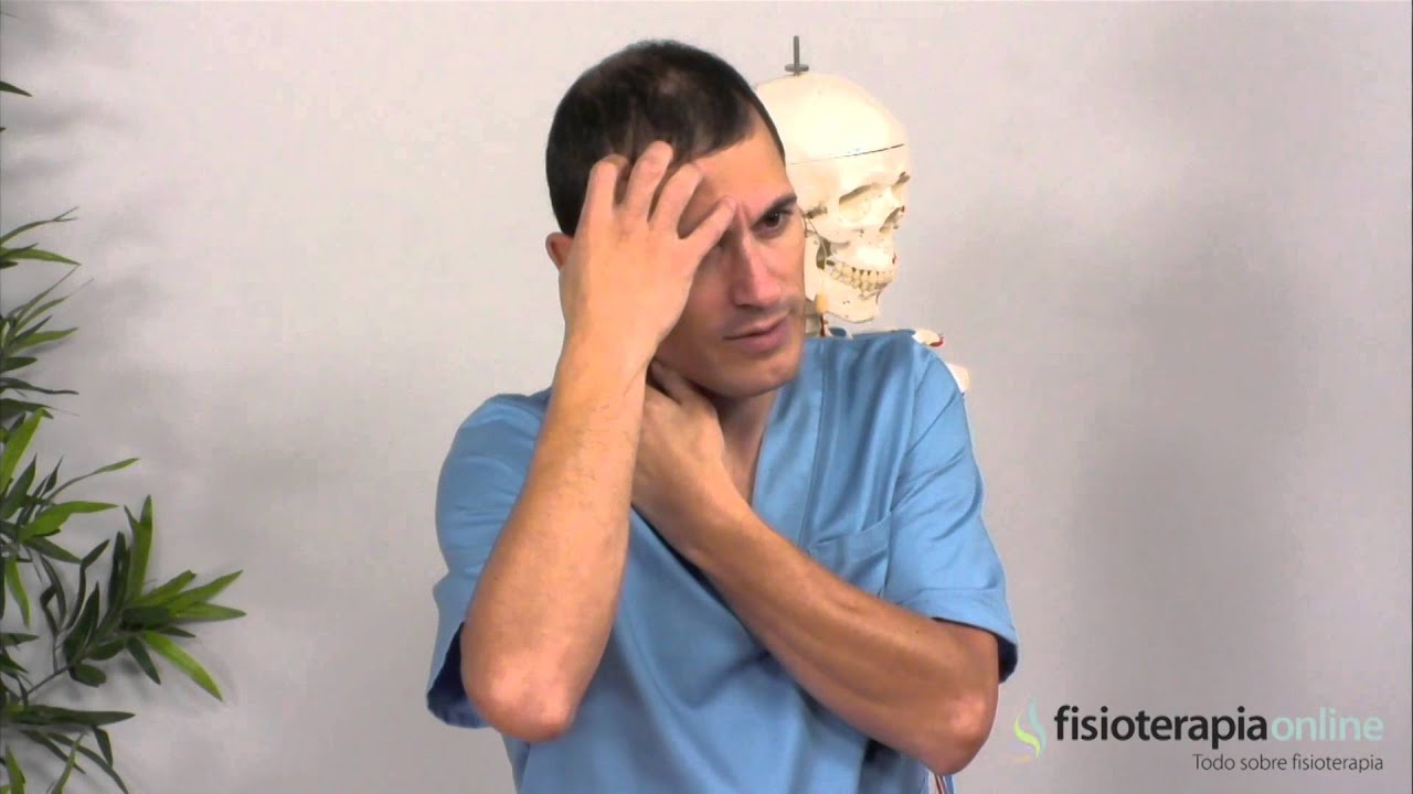 Qué es y cómo tratar la cefalea o dolor de cabeza - Fisioterapia Bilbao