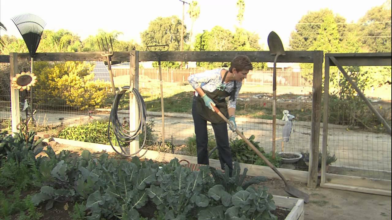 Gardening With Lucy - Garden Spring Cleaning