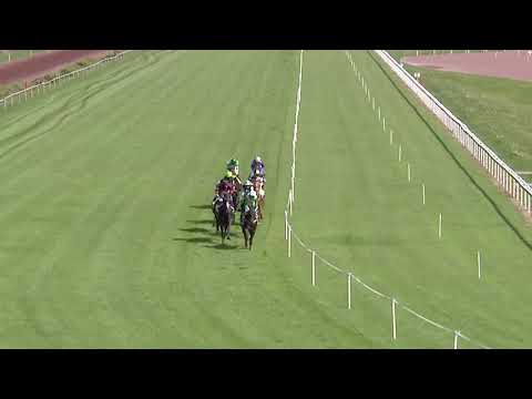 Avenches/23.09.2019/Prix de Windsor