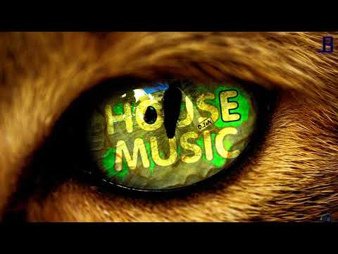 Chaum & Hobin Rude   Cressida Tonaco Remix Juicebox Music