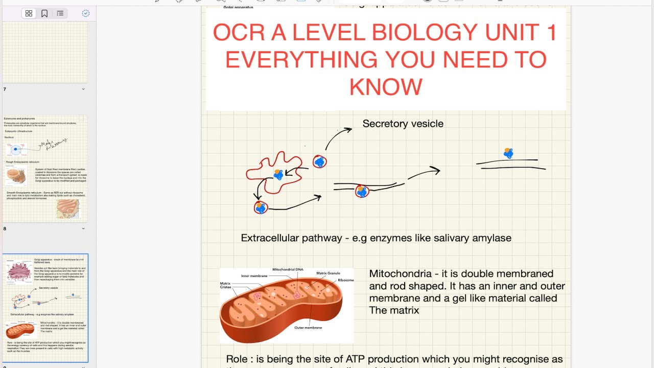 OCR a level biology unit 1 **EVERYTHING YOU NEED TO KNOW**