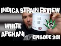 Indica Strain Review- White Afghani