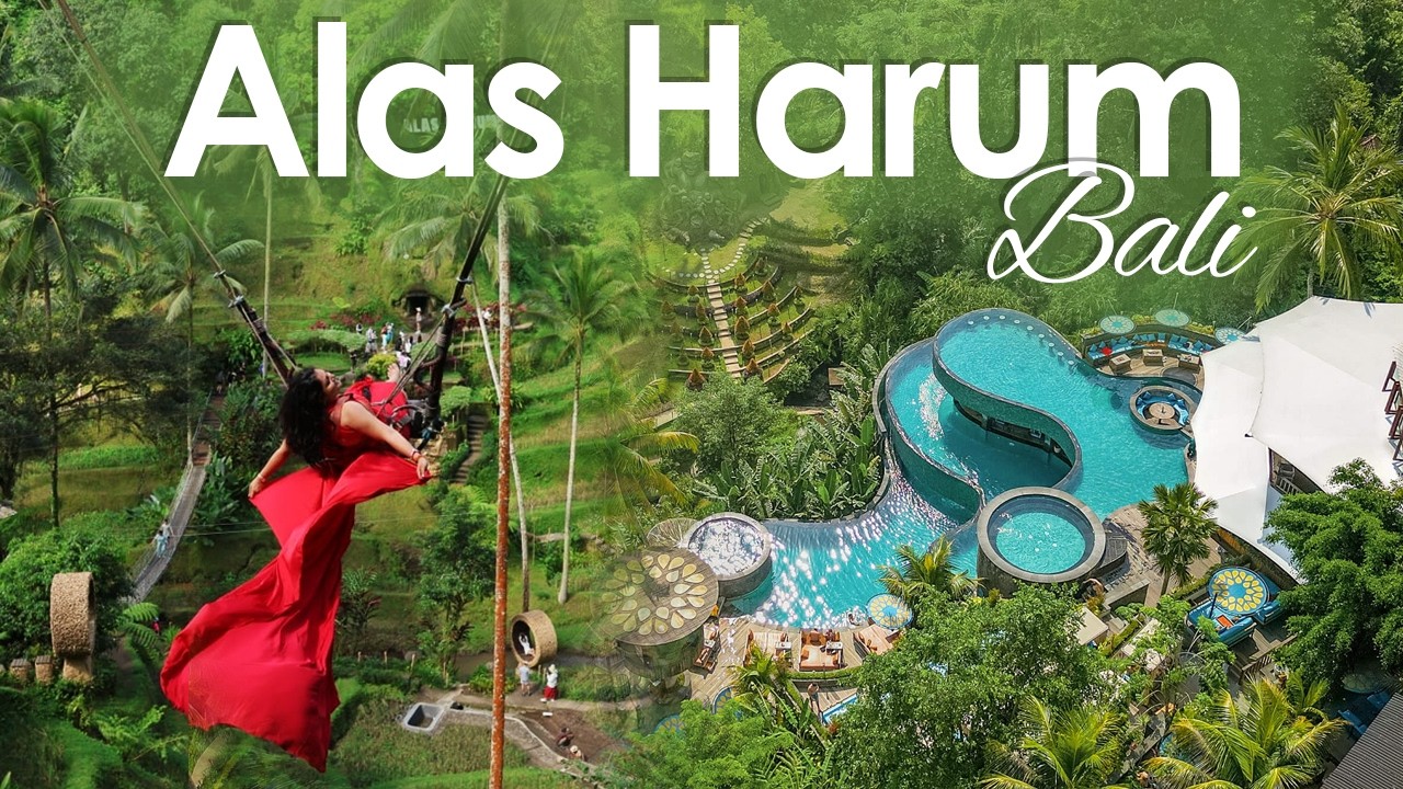 ALAS HARUM BALI  + Cretya UBUD Experience | Complete tour | Tickets, things to do | Bali swing.