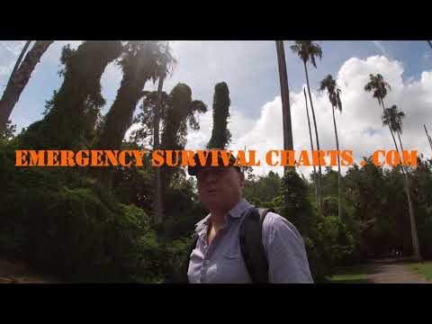 "The Big Find" Entry 2021