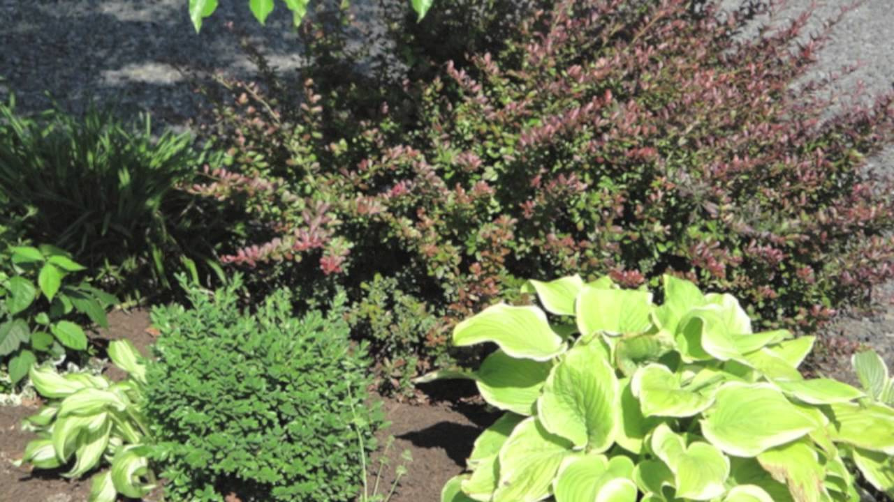 Helverson Brothers - Firewood, Mulch, Soil - Bucks County, PA