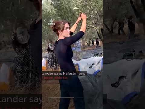Israel bans travel for Brad Lander after detention in occupied West Bank | AJ #shorts