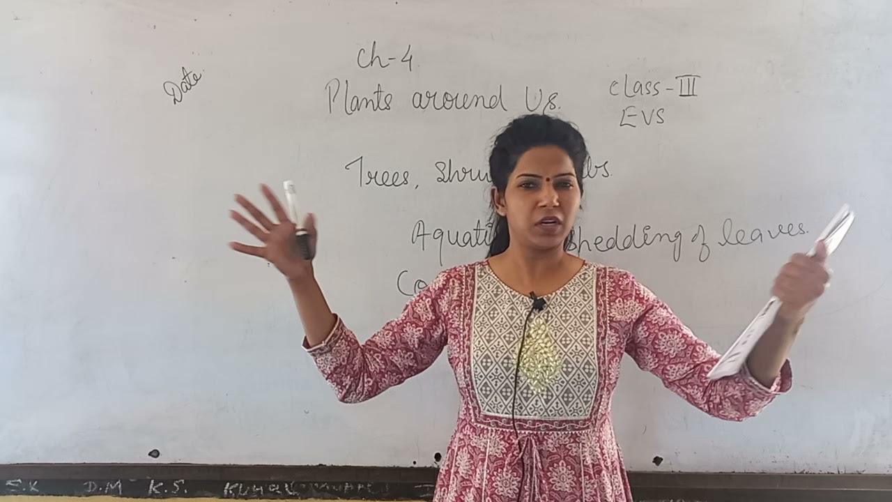 Class III EVS Ch 4 Plant around us Part 1