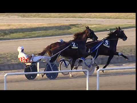 Napoli Trotto 15/09/2023 - 8ª corsa