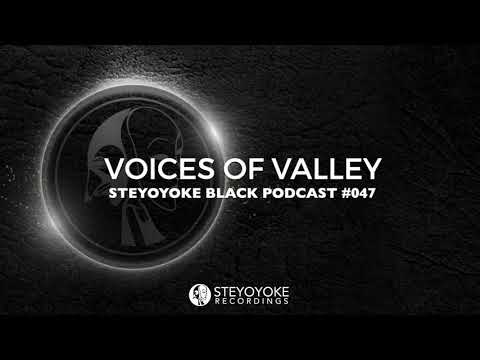 Voices Of Valley - Steyoyoke Black Podcast #047
