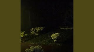 Winter Storm Music Video