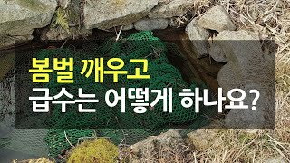 봄벌 깨우고 급수는 어떻게 할까?