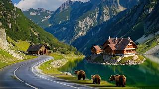 Location Transfagarasan Romania  Date recorded July 16 Important turn on subtitles in your native language in the settings CC