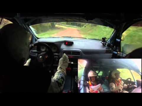 Rally balcone delle Marche 2013  Pellegrineschi - Martinelli  Fiat Punto R3/D