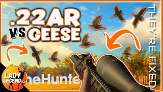 Hunting FIXED GEESE with the .22AR!!! - Modern Rifles Pack Early Access - Call of the Wild
