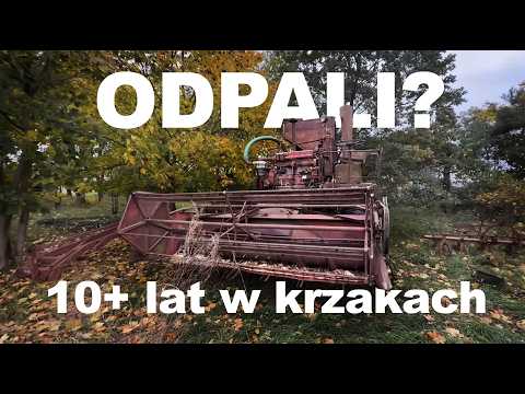 Kombajn stał 10+ lat w krzakach, czy odpali? rozbieramy silnik w polu. Kombajn Vistula