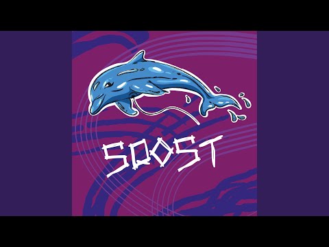 Delfín - Sqost