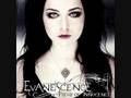 "Field Of Innocence" - Evanescence 