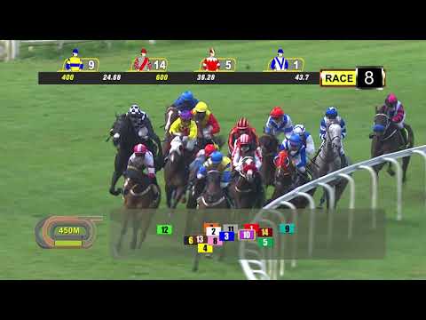 スクービードゥー 14着 01/08/2021 RACE 8