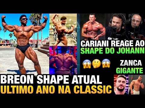 BREON AINDA PODE VENCER RAMON E URS ?? (SHAPE ATUAL) - ZANCA ESTÁ GIGANTE + CARIANI, JOHANN E PACHO